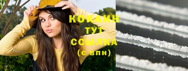 мдпв Кукмор