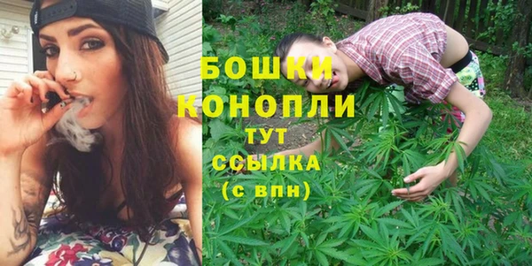 PSILOCYBIN Кулебаки