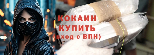 мдпв Кукмор