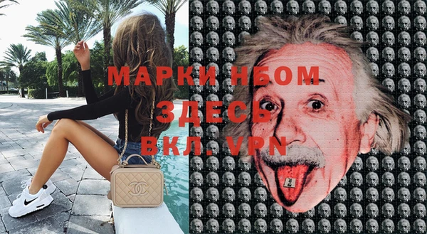 PSILOCYBIN Кулебаки