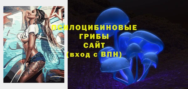 мдпв Кукмор