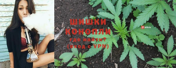 крисы Липки