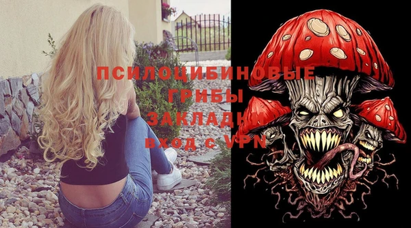 PSILOCYBIN Кулебаки