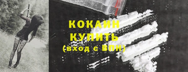 PSILOCYBIN Кулебаки