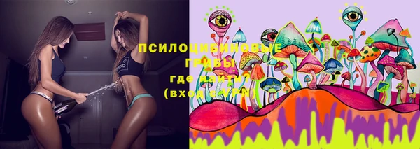 мдпв Кукмор