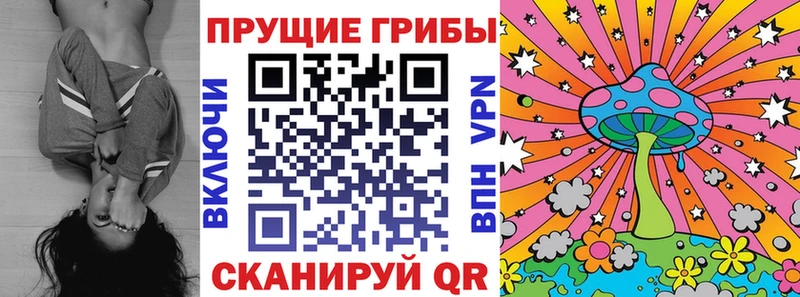 Псилоцибиновые грибы Magic Shrooms Вихоревка