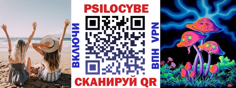 Купить закладки  Вихоревка  Псилоцибиновые грибы Cubensis 
